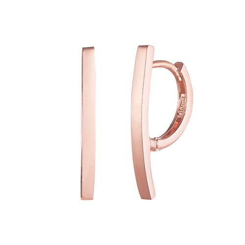 ǰ̹